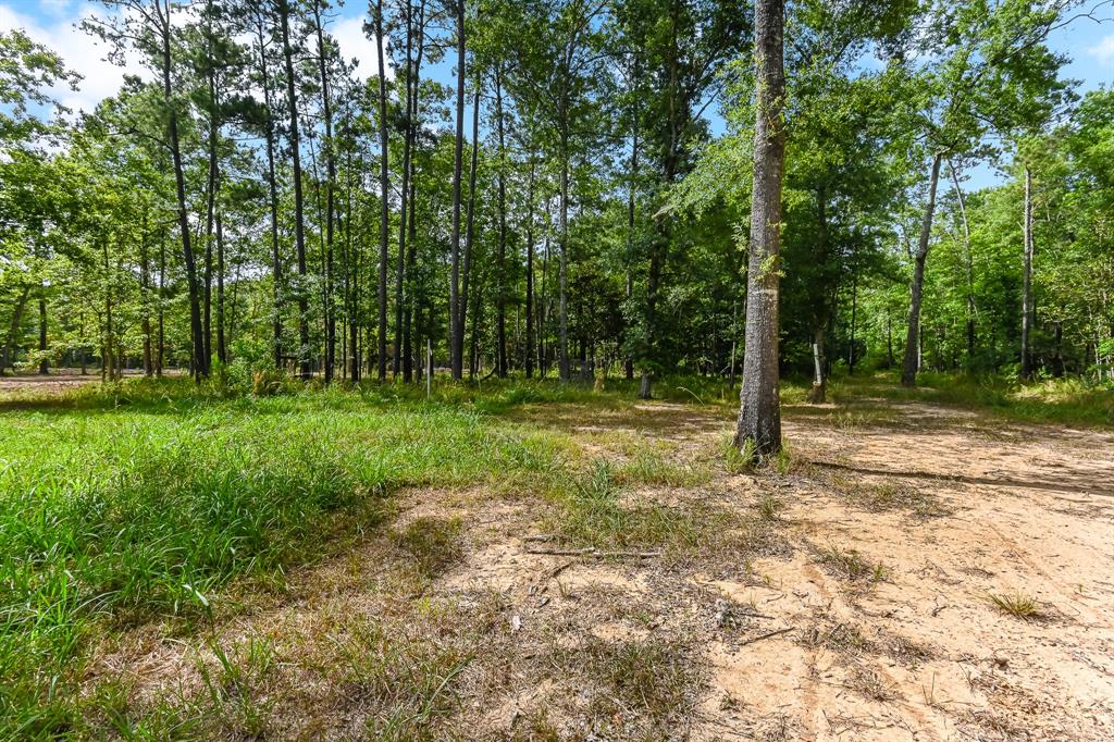 661 County Road 633, Dayton, Texas image 7