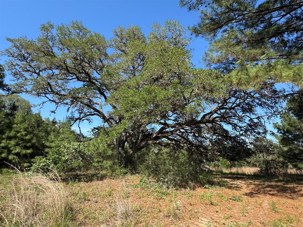 2183 Farm To Market 3283, Hallettsville, Texas image 40