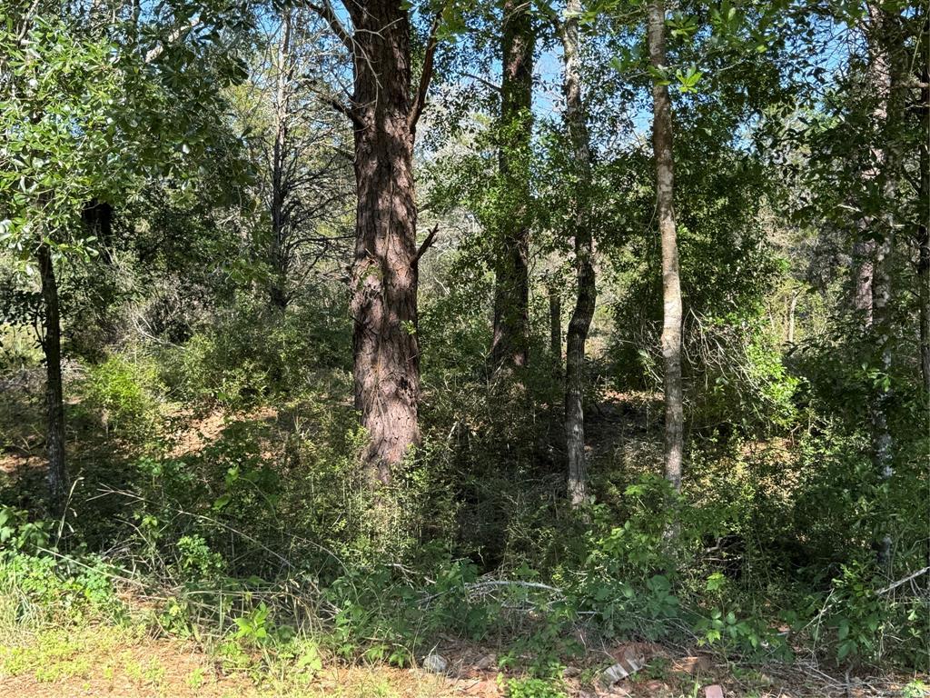 2183 Farm To Market 3283, Hallettsville, Texas image 43