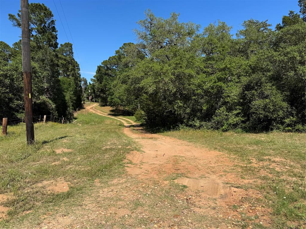2183 Farm To Market 3283, Hallettsville, Texas image 32