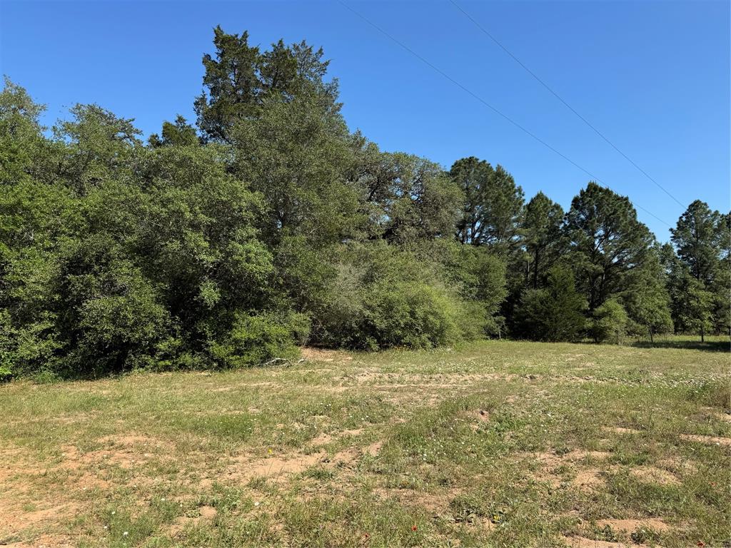 2183 Farm To Market 3283, Hallettsville, Texas image 36