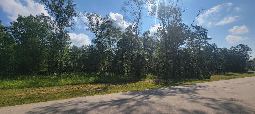 1520 County Road 632, Dayton, Texas image 2