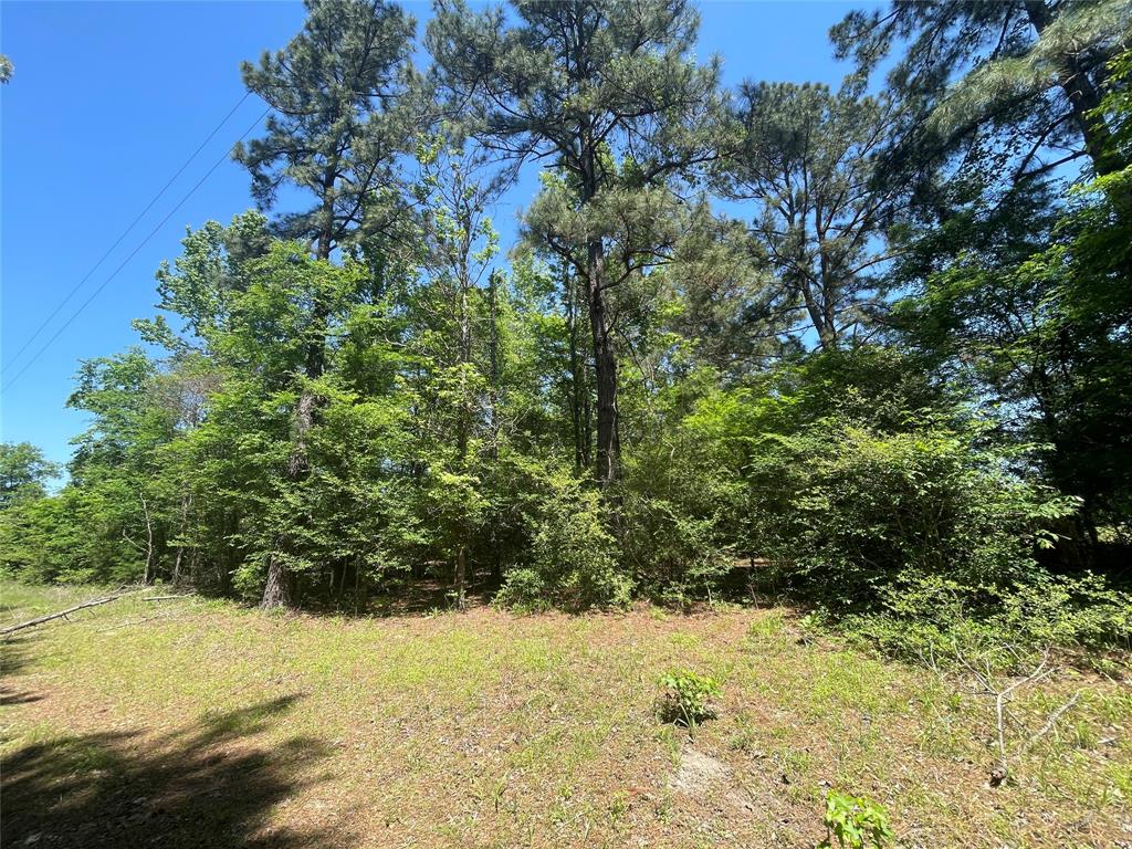 0000 County Road 149, Centerville, Texas image 3