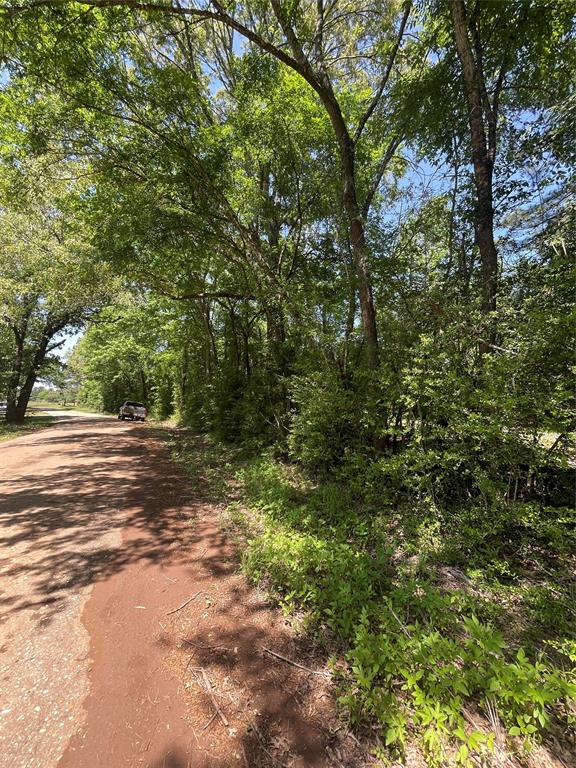 0000 County Road 149, Centerville, Texas image 2