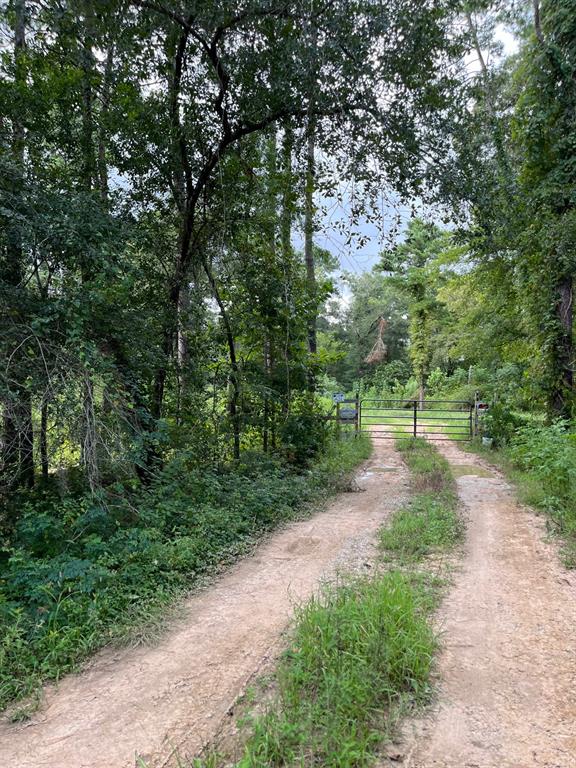 10008 Bentley Drive, Hockley, Texas image 1