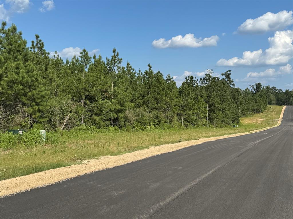 12019 High Branch Way, Willis, Texas image 4