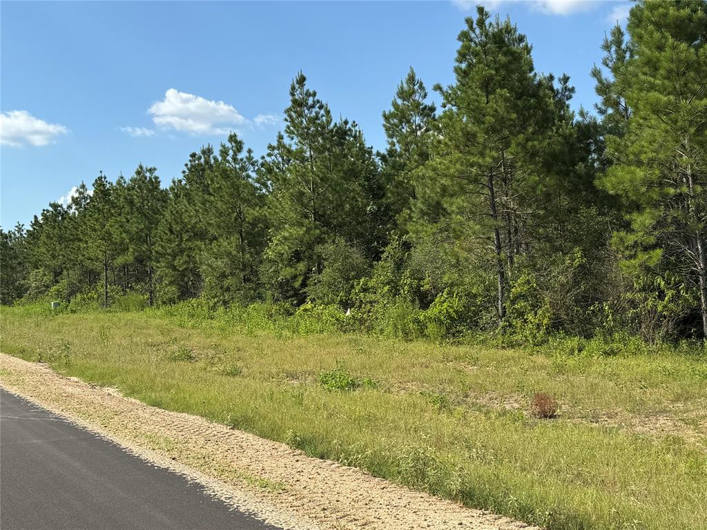 12019 High Branch Way, Willis, Texas image 8