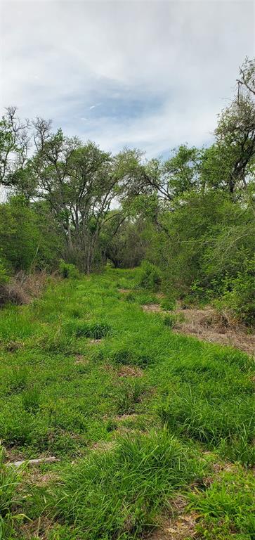 TBD Specklebelly Lane Lot 251, Columbus, Texas image 20