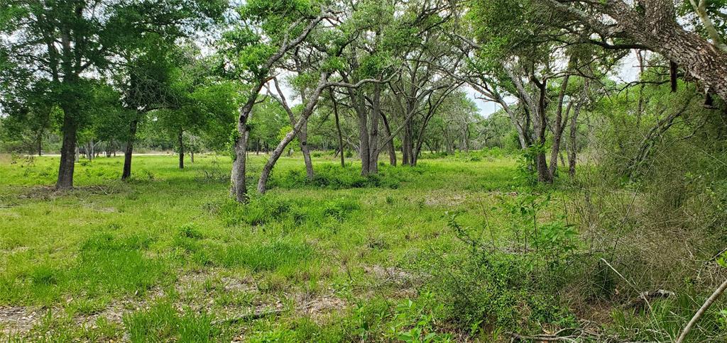 TBD Specklebelly Lane Lot 251, Columbus, Texas image 23