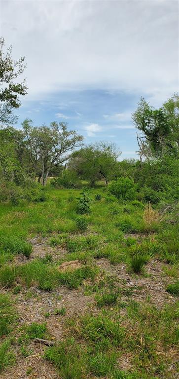 TBD Specklebelly Lane Lot 251, Columbus, Texas image 9