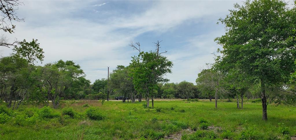 TBD Specklebelly Lane Lot 251, Columbus, Texas image 25