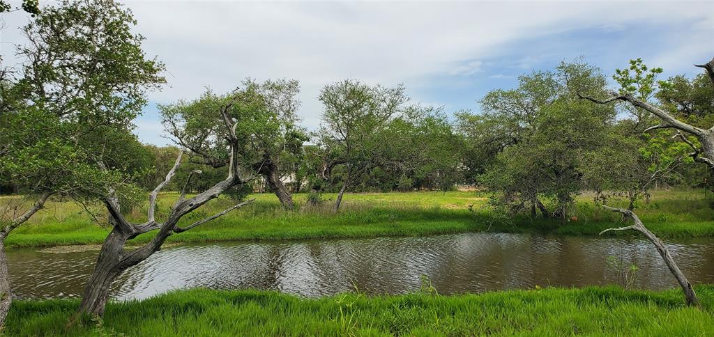 TBD Specklebelly Lane Lot 251, Columbus, Texas image 18