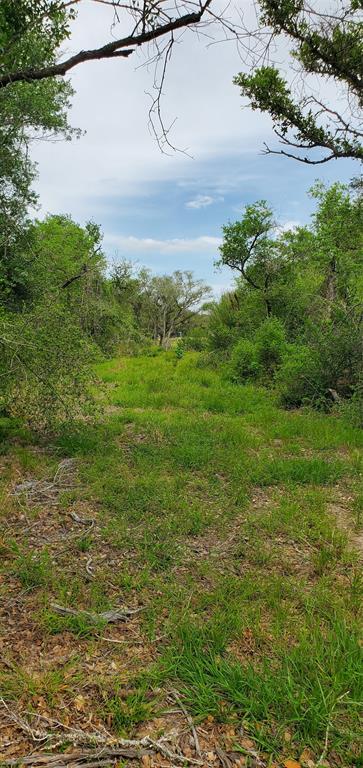 TBD Specklebelly Lane Lot 251, Columbus, Texas image 8