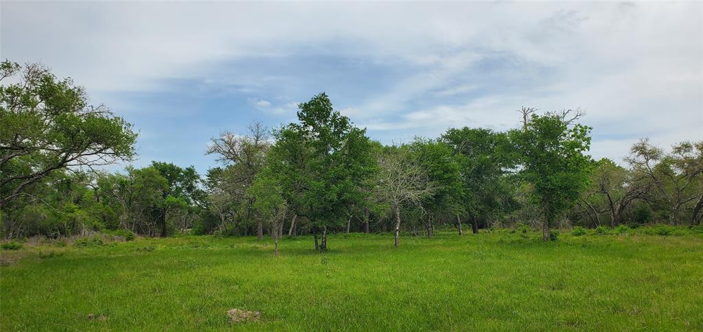 TBD Specklebelly Lane Lot 251, Columbus, Texas image 4