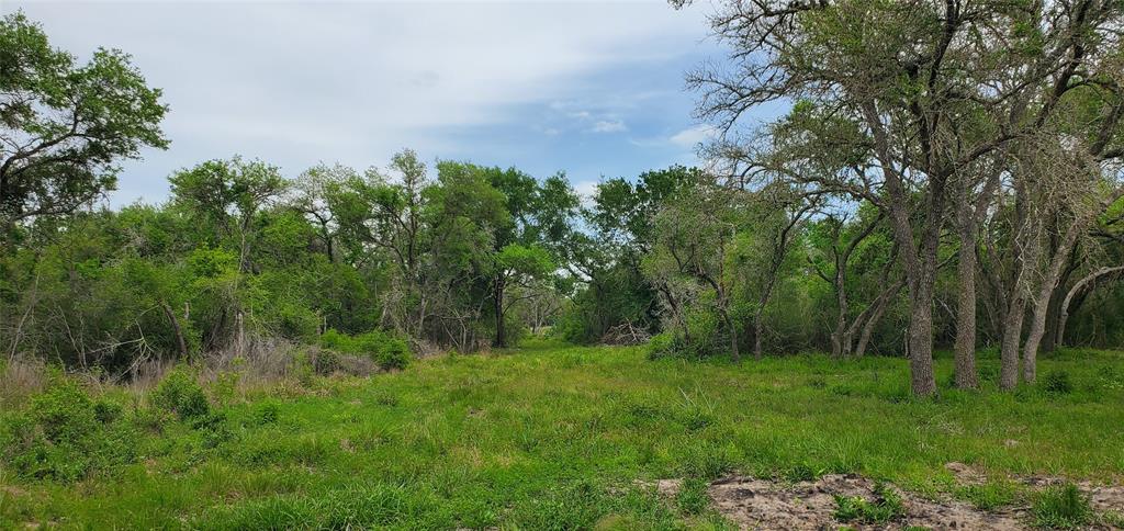 TBD Specklebelly Lane Lot 251, Columbus, Texas image 6