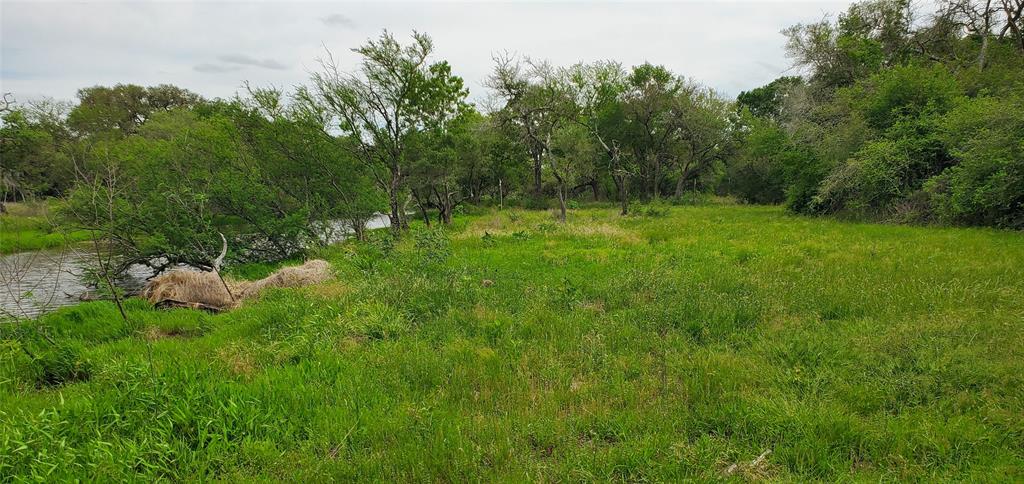 TBD Specklebelly Lane Lot 251, Columbus, Texas image 14