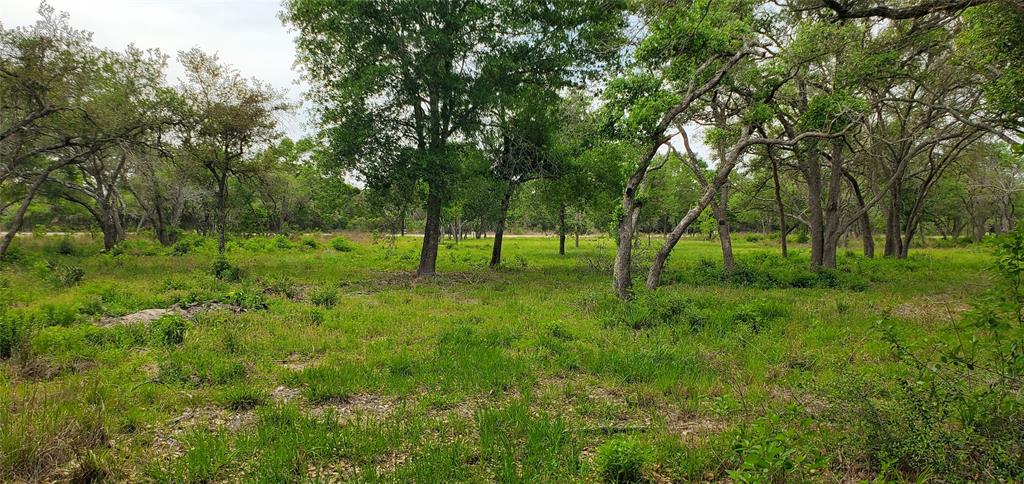 TBD Specklebelly Lane Lot 251, Columbus, Texas image 22
