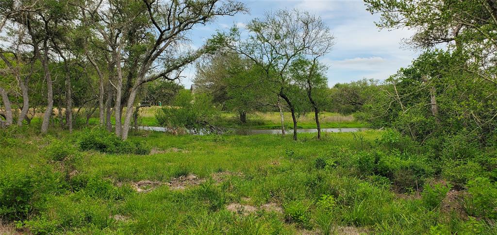 TBD Specklebelly Lane Lot 251, Columbus, Texas image 10