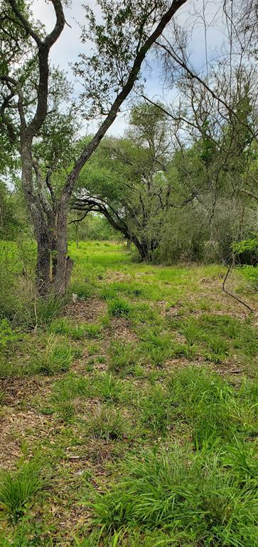TBD Specklebelly Lane Lot 251, Columbus, Texas image 21