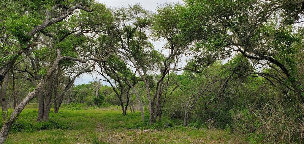 TBD Specklebelly Lane Lot 251, Columbus, Texas image 24