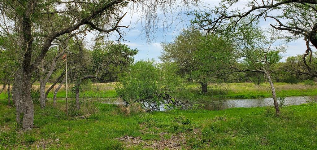 TBD Specklebelly Lane Lot 251, Columbus, Texas image 11