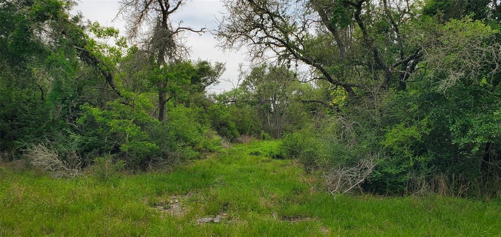 TBD Specklebelly Lane Lot 251, Columbus, Texas image 19