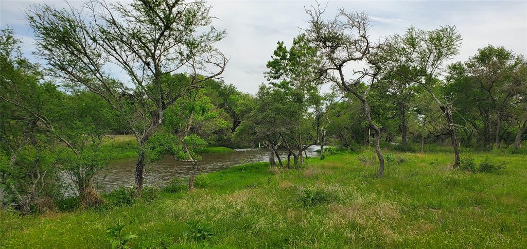 TBD Specklebelly Lane Lot 251, Columbus, Texas image 15