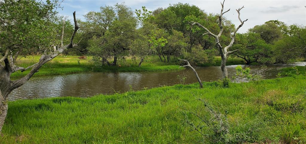 TBD Specklebelly Lane Lot 251, Columbus, Texas image 17