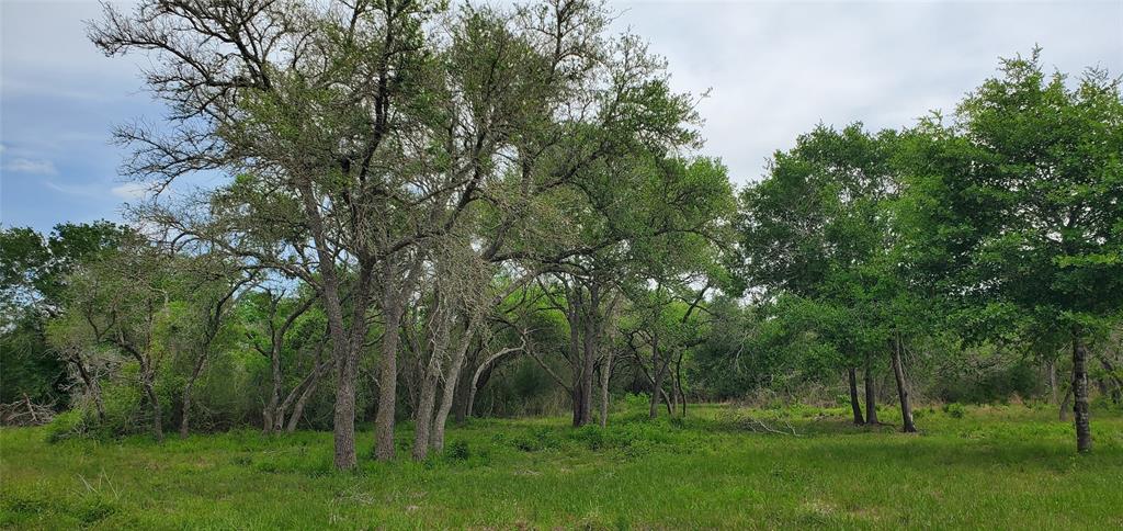 TBD Specklebelly Lane Lot 251, Columbus, Texas image 5