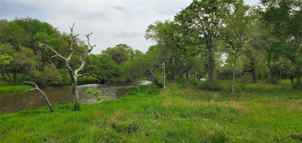 TBD Specklebelly Lane Lot 251, Columbus, Texas image 16
