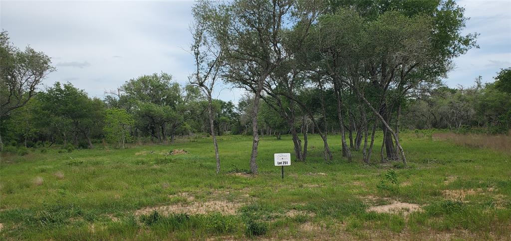 TBD Specklebelly Lane Lot 251, Columbus, Texas image 2