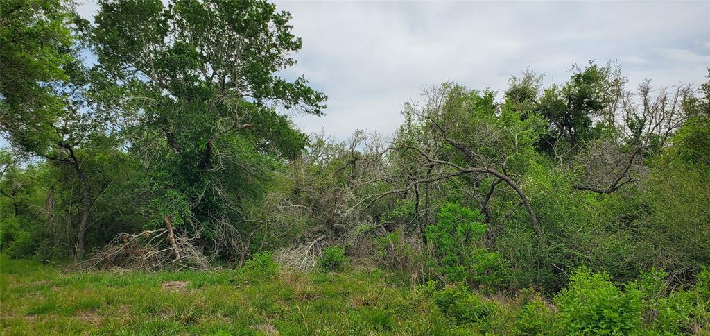 TBD Specklebelly Lane Lot 251, Columbus, Texas image 7