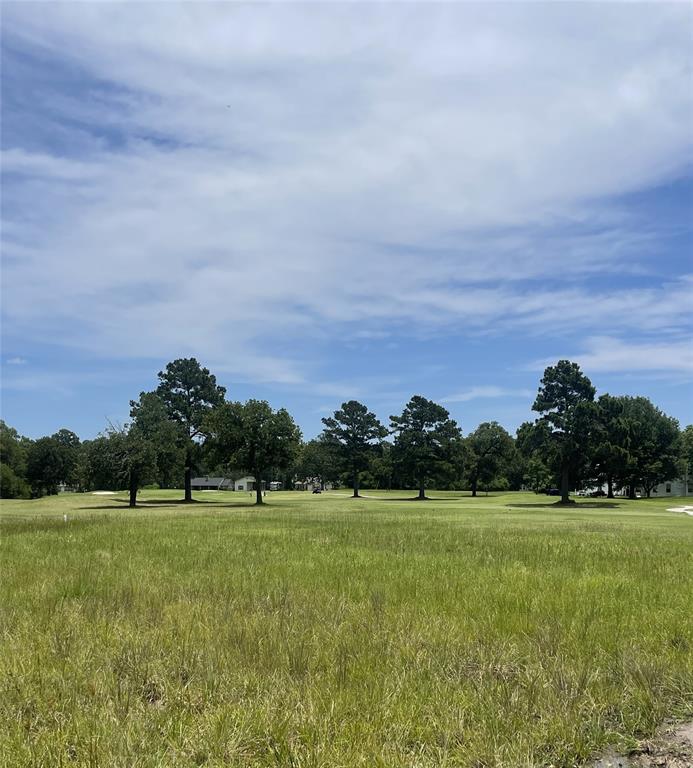 8 Greenway Drive, Trinity, Texas image 20