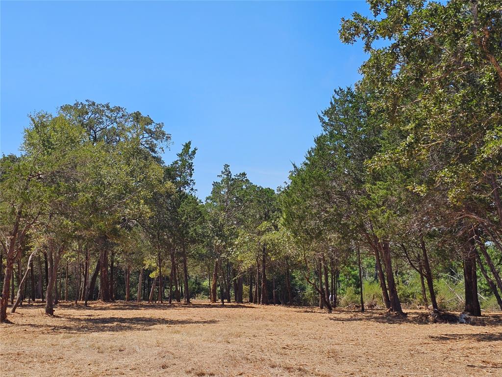 000 Agget Road, Smithville, Texas image 3