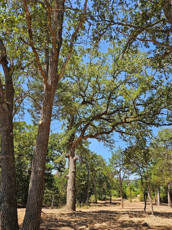 000 Agget Road, Smithville, Texas image 1