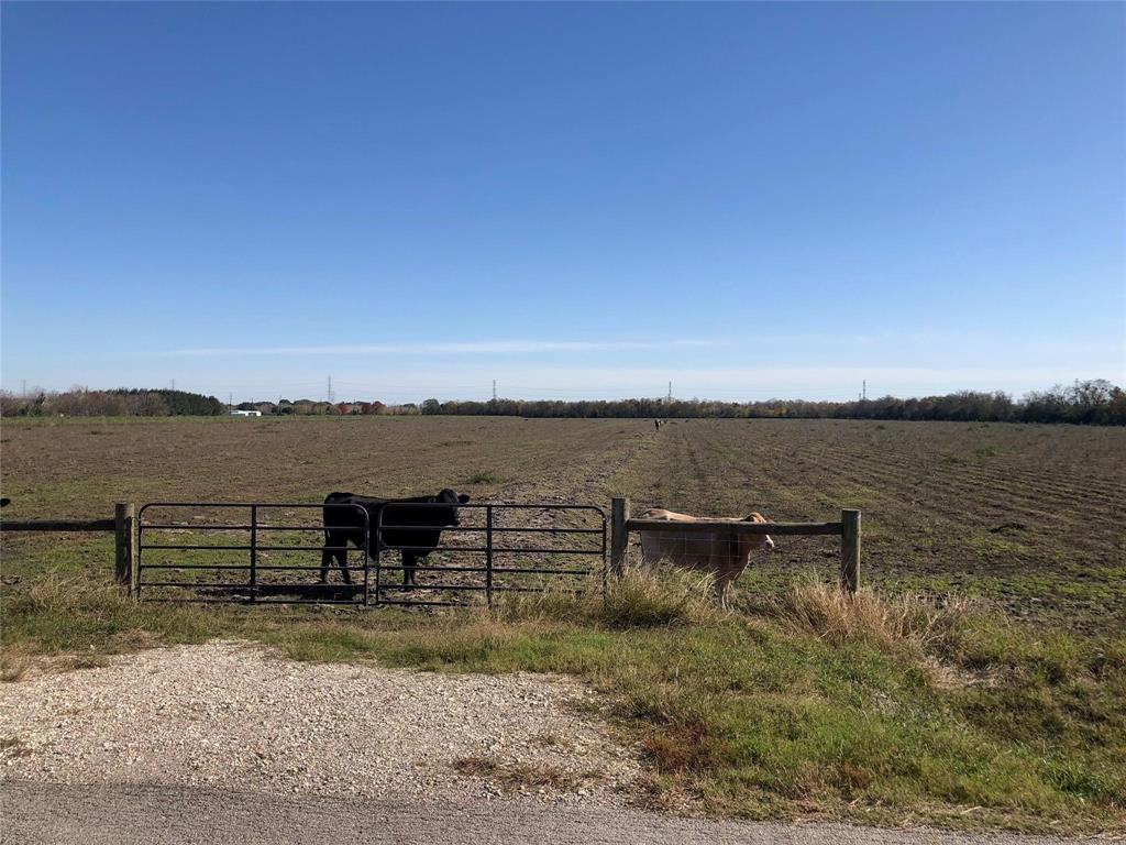 00 Dannhaus Road, Needville, Texas image 9