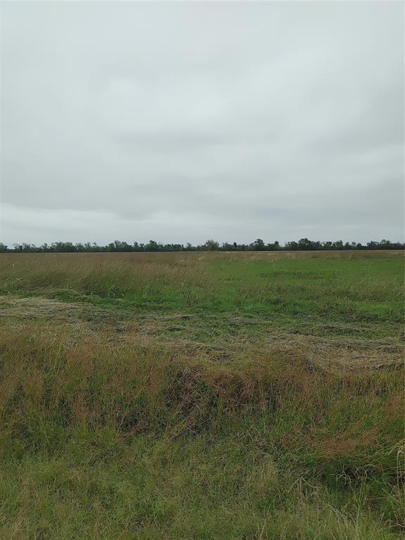 Lot 128 Stampede Trail, Angleton, Texas image 2