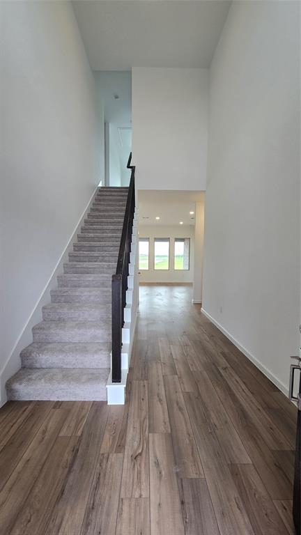 2910 Palm Branch Drive, Texas City, Texas image 4