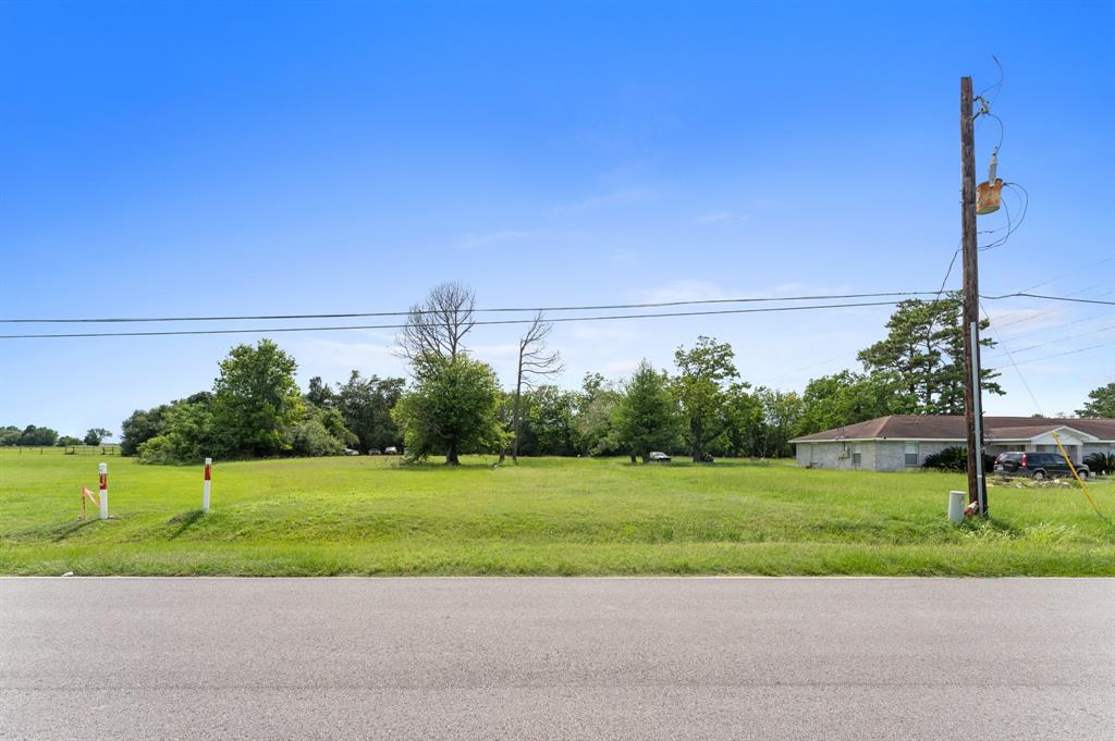 3435 Eula Morgan Road, Katy, Texas image 6