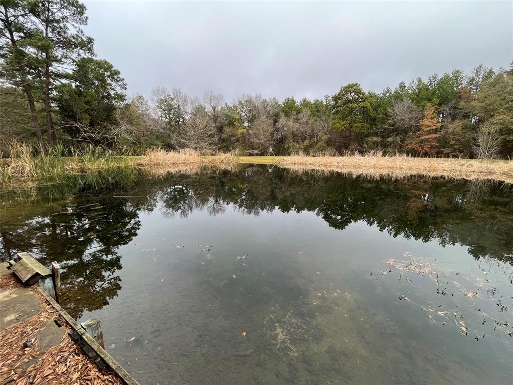 15674 Shatterway Lane, Willis, Texas image 10