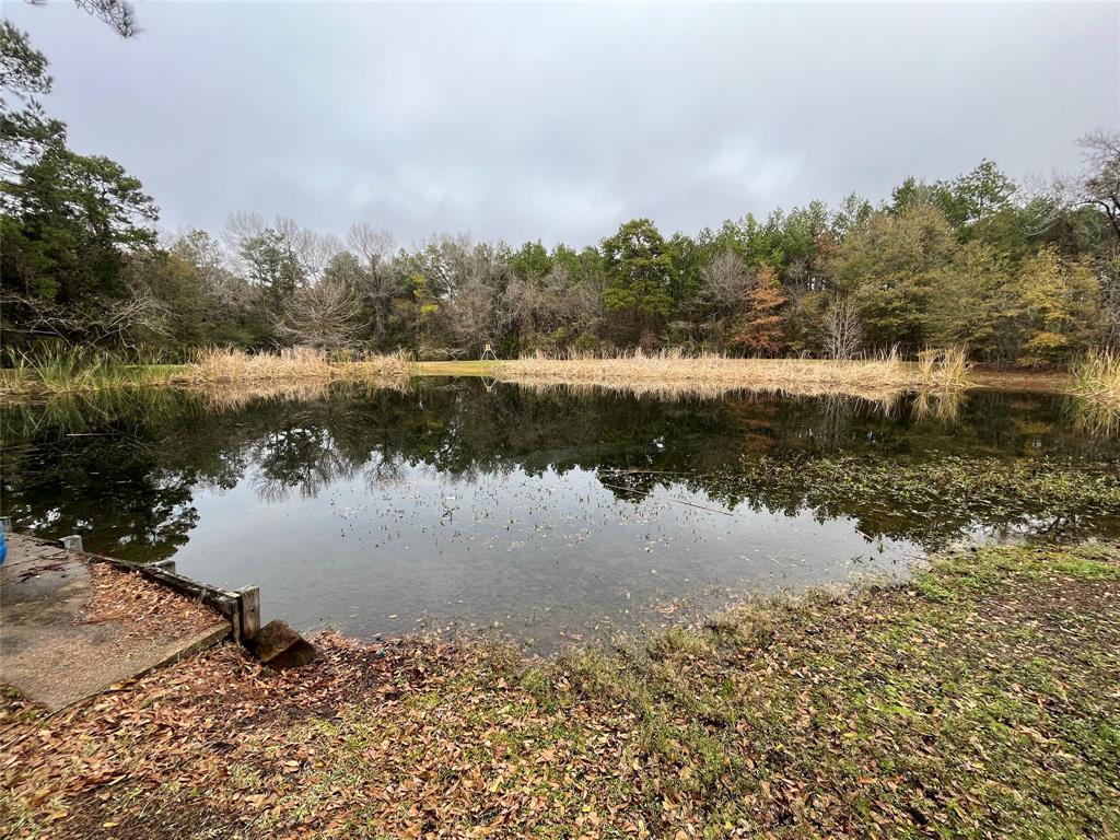 15674 Shatterway Lane, Willis, Texas image 9