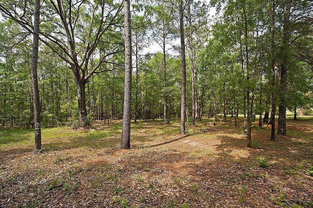 15674 Shatterway Lane, Willis, Texas image 8