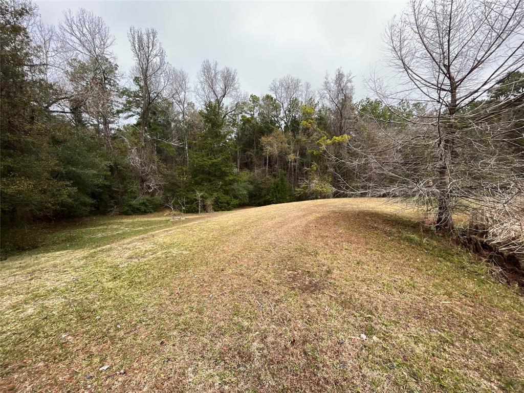 15674 Shatterway Lane, Willis, Texas image 7