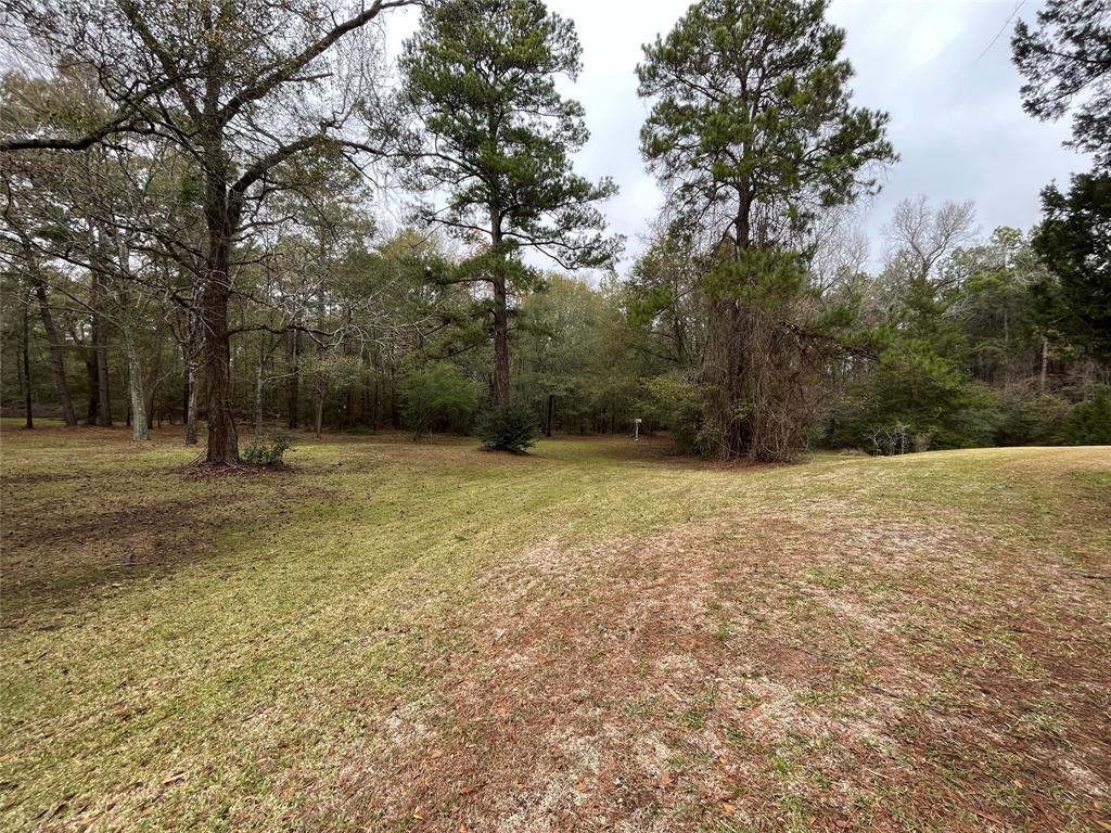 15674 Shatterway Lane, Willis, Texas image 6