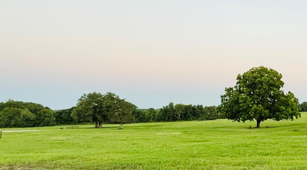 216 Winn Haven - Lot 20, Round Top, Texas image 6