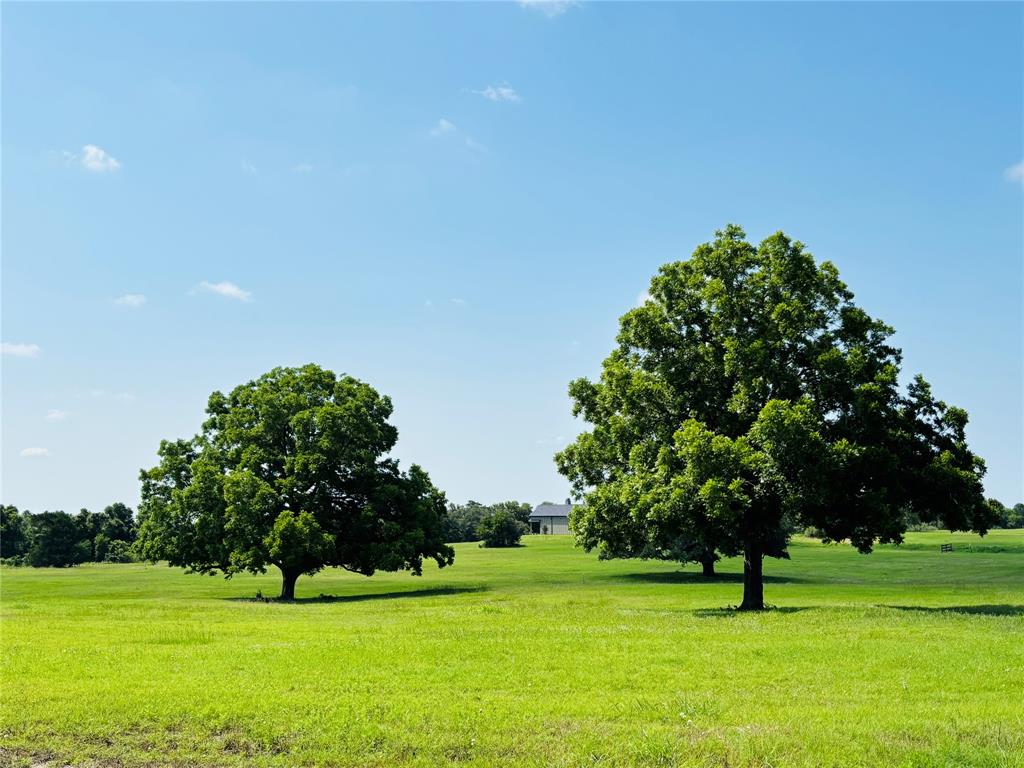 216 Winn Haven - Lot 20, Round Top, Texas image 1