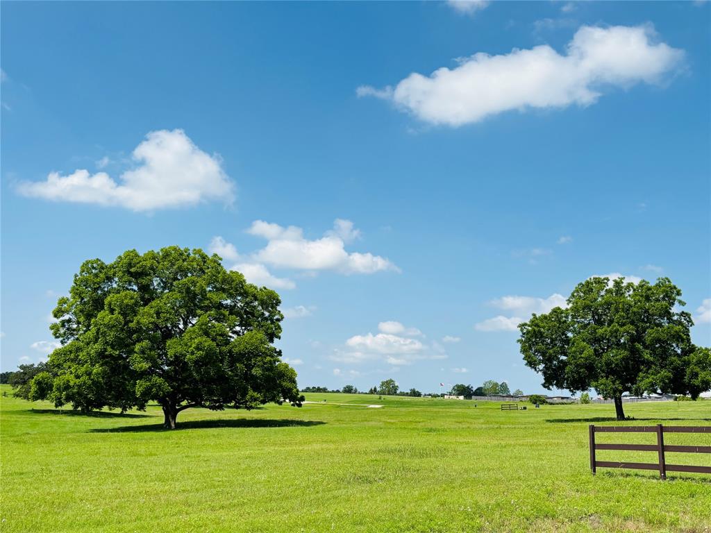 216 Winn Haven - Lot 20