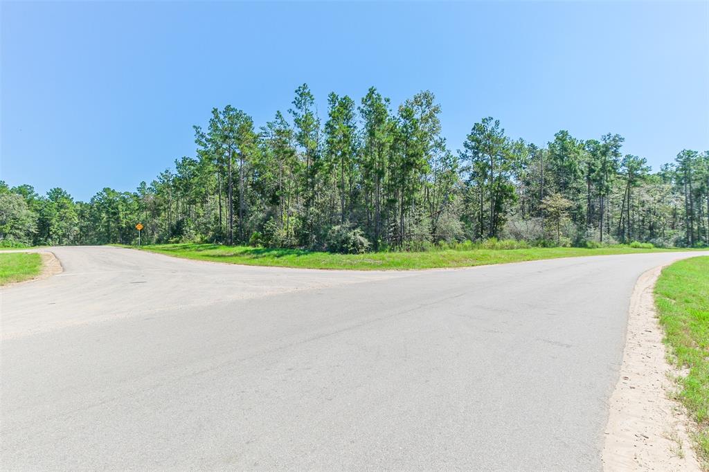 10711 Ruger Road, Willis, Texas image 15