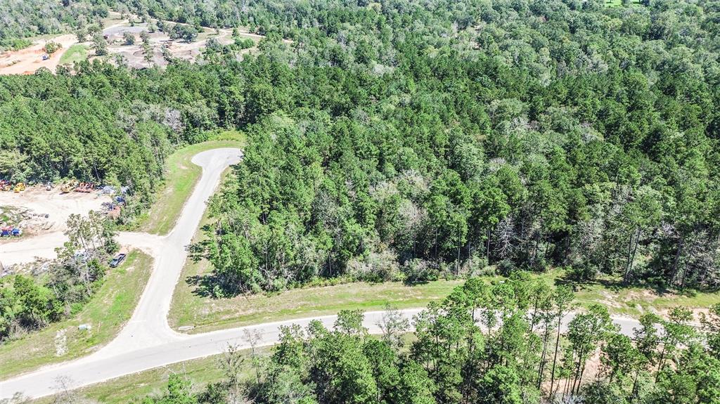 10711 Ruger Road, Willis, Texas image 5