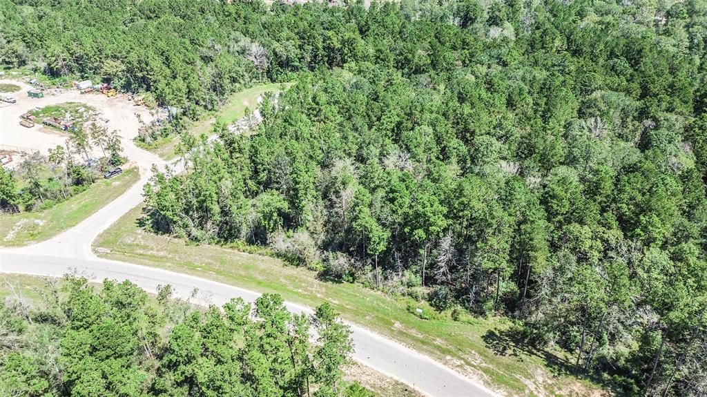 10711 Ruger Road, Willis, Texas image 6